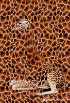 Camouflage